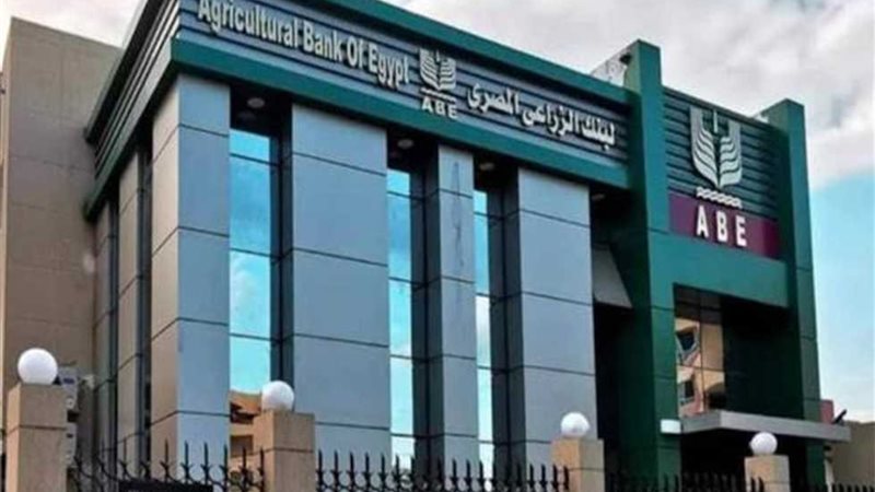 مبادرة دعم شركات