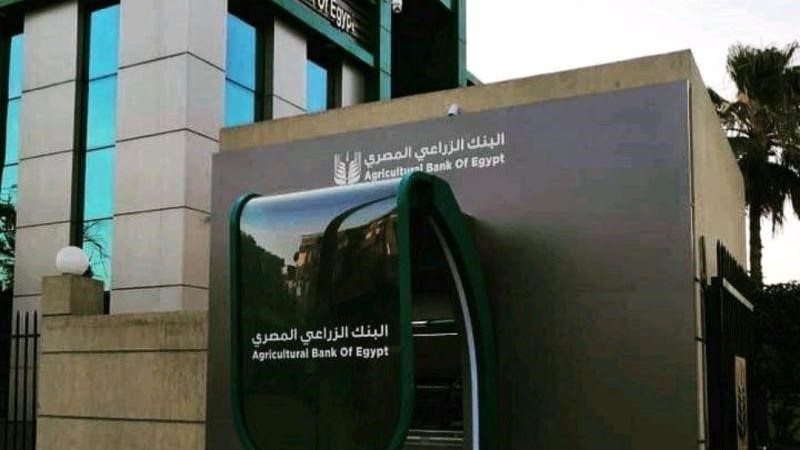 شهادة المشارك الخماسية