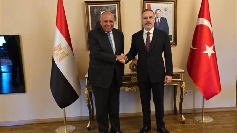 وزير الخارجية ونظيره