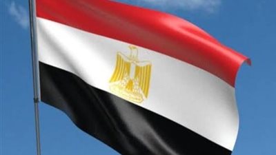 مصر تدعي الدول لإدانة قوات الإحتلال الإسرائيلي ومساعدة غزة 