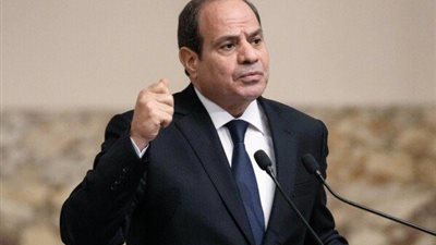 السيسي وبلينكن يؤكدان رفضهم القاطع لتهجير الفلسطينيين