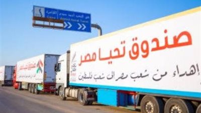 الدبلوماسية المصرية تنجح في زيادة المساعدات الإنسانية إلى غزة