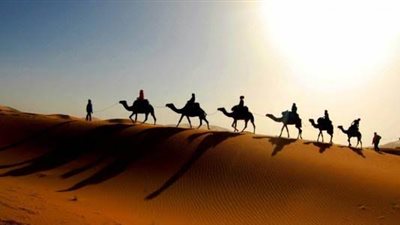 من الهجرة والحصار إلى عام الحزن في حياة خاتم المرسلين