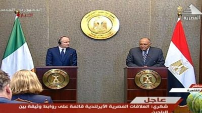 وزير الخارجية و نظيره الإيرلندي يبحثان الأوضاع في غزة