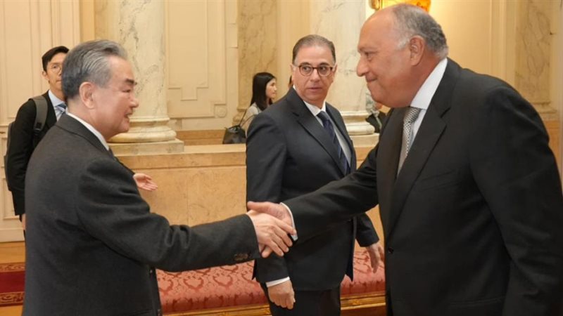 91125-سامح-شكرى-ووزير-الخارجية-الصينى-1140x570