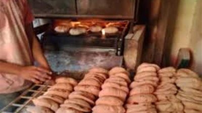 غلق 11 مخبزا بلديا لمخالفتهم اللوائح والقوانين فى المنوفية