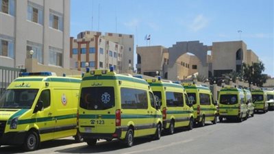 مصرع وكيل نيابة وزوجته في حادث مروري بالقاهرة