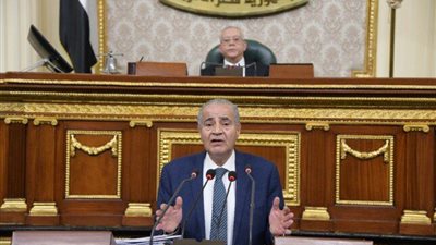 عاصفة النواب تُضرب وزير التموين.. وبرلمانيون يطالبون بإقالته