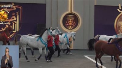 السيسي يغادر الإفتتاح العربي للبطولة الفروسية العسكرية بمدينة الألعاب الأولمبية
