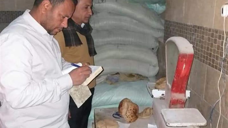 المنيا