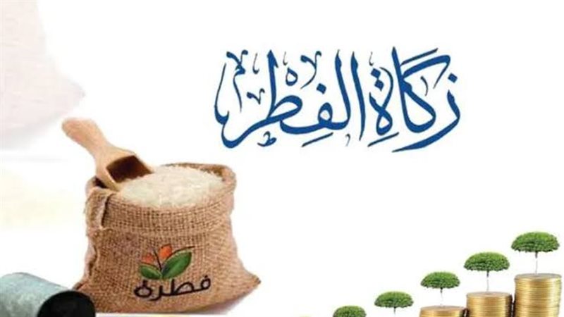 images (11) (8)
