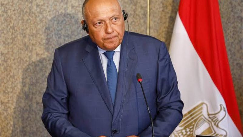 وزير الخارجية المصري