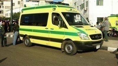 إصابة ربة منزل بلدغة عقرب بالشرقية