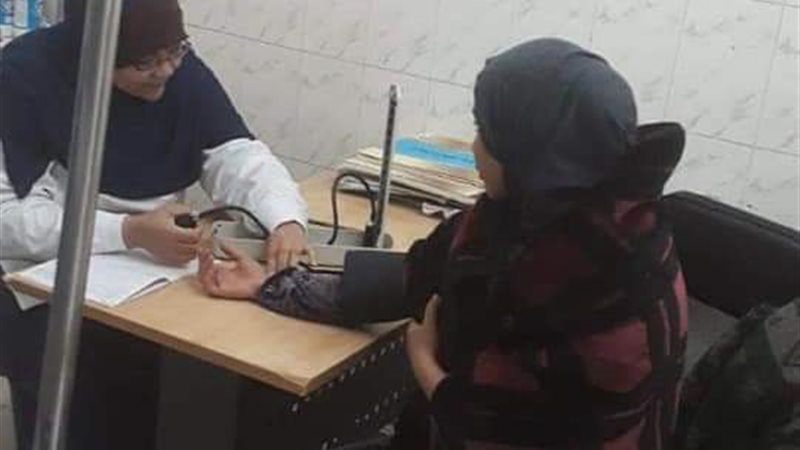 المنيا