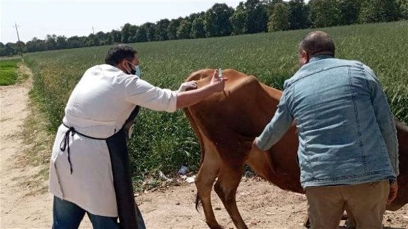 عيادات بيطرية