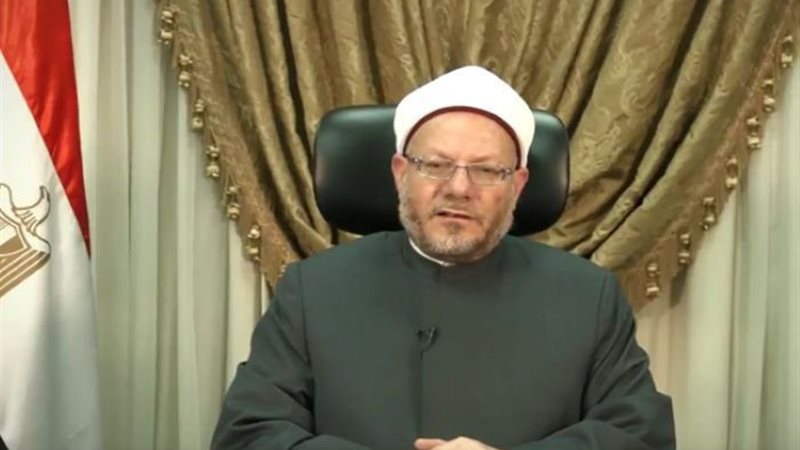 شوقي علام