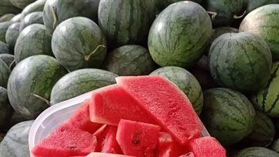 الحكومة تنفى صحة انتشار بطيخ مسرطن بمختلف الأسواق