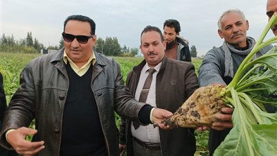 لجنة من الزراعة تتابع تنفيذ الزراعات التعاقدية والشتوية بدمياط