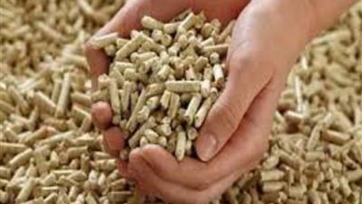 علف الحيوان.. كيفية الاستفادة من زيت القلي المستعمل في المنزل