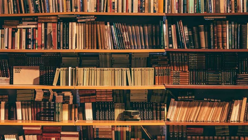 Essential-Books||132756-الفلكولور-المصري||193537-الذاكرة-ال
