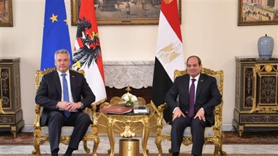 على هامش القمة المصرية الأوروبية.. السيسي يستقبل المستشار النمساوي 