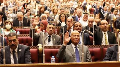 الشيوخ يوافق على إحالة 14 تقريرا برلمانيا للحكومة