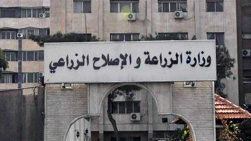 تقارير