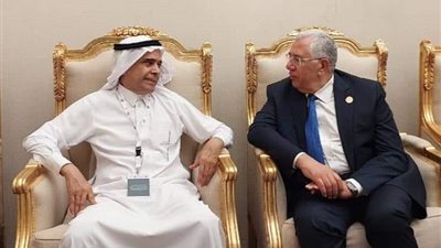 وزير الزراعة يبحث مع المجلس الدولي للتمور سبل الإستفادة من الثروة المصرية