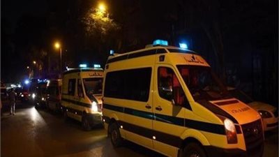 إصابة شخصين إثر حادث تصادم أسفل كوبري بالإسماعيلية