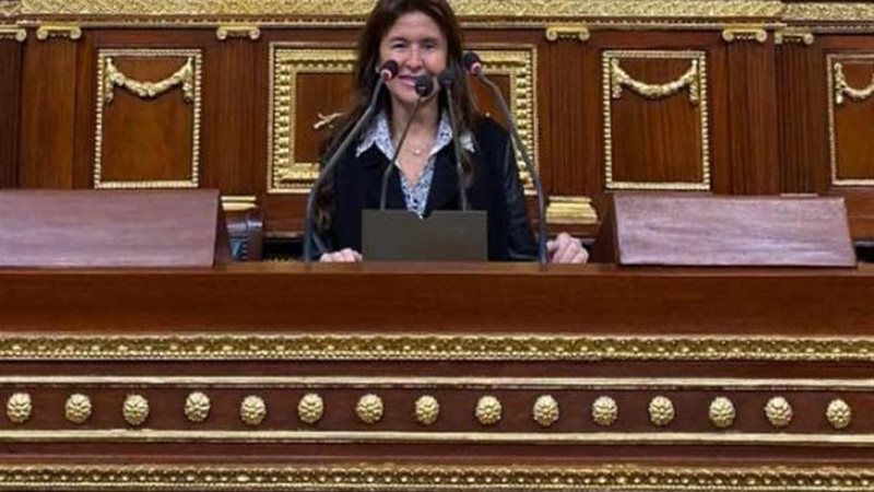 النائبة شيرين عليش