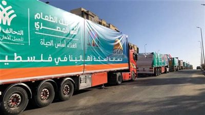 التحالف الوطني: عبور القافلة السابعة التابعة لبنك الطعام المصري إلى قطاع غزة