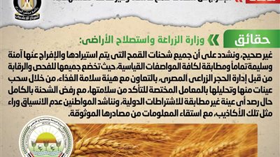 «الحكومة» تنفي الإفراج عن شحنات قمح فاسدة وغير صالحة للاستهلاك