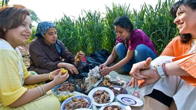 تحذير من الأرصاد بشأن الطقس في شم النسيم