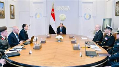 السيسي يؤكد على الأهمية الكبيرة لتطوير الموانئ في دفع الاقتصاد المصري