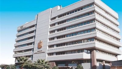 «معلومات الوزراء» مصر في المرتبة 34 عالميا بمؤشر حقوق الطفل