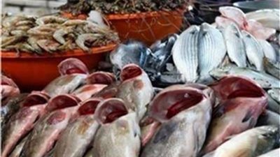 الجمبري بـ 360..أسعار الأسماك اليوم بالسوق المصري