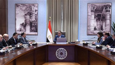 رئيس الوزراء يناقش توسع إقامة المشروعات بنظام المناطق الحرة
