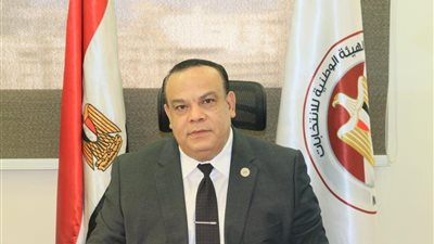 الهيئة الوطنية للانتخابات تُتيح للقضاة الاستعلام عن مكان اللجان داخل مصر