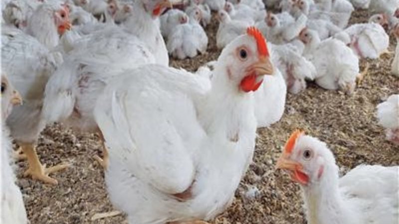 6383CA78-83A2-46D2-BC63-DBAD3A13E5B9