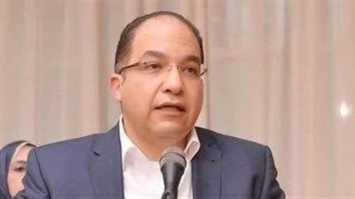 برلماني: مصر نجحت في حشد الرأي العام العالمي لدعم القضية الفلسطينية
