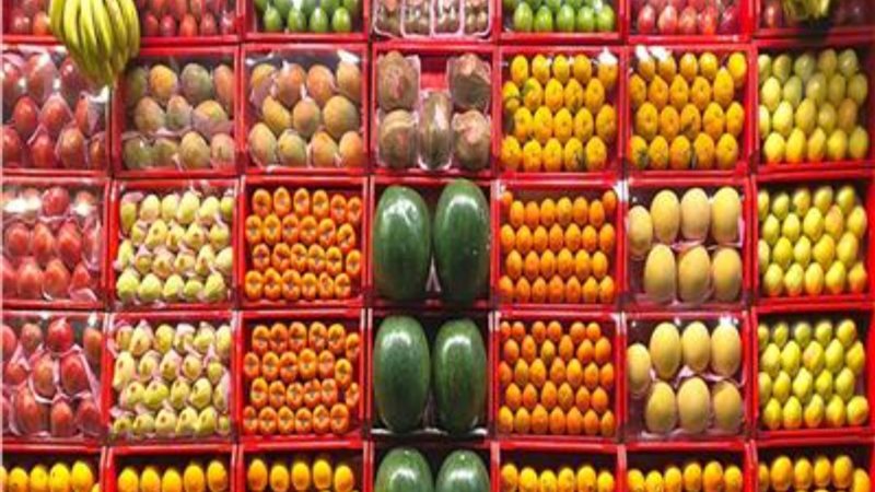 IMG_20240207_152817