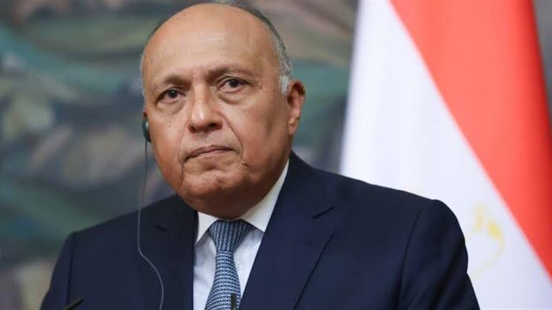وزير الخارجية المصري