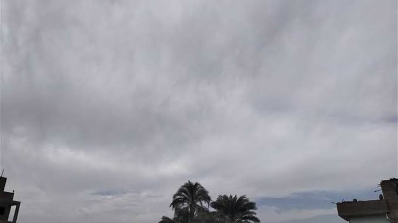 images (1) (21)