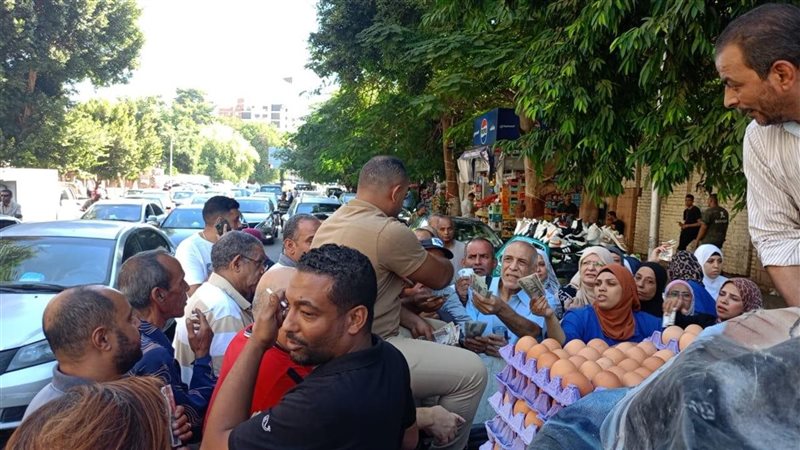 كرتونة البيض