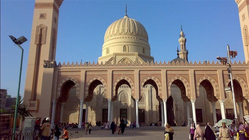 القارئ نيوز