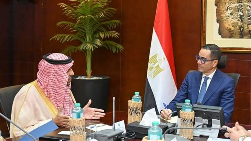 وزير الاسثمار المصري