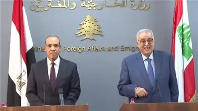 وزارة الخارجية المصرية: دعمنا للبنان مستمر لمواجهة آثار العدوان الإسرائيلي