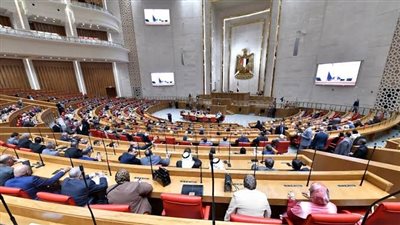 نائب بمجلس الشيوخ: مشاركة مصر في البريكس تفتح آفاقاً جديدة للتعاون الاستثماري