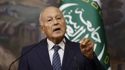 أبو الغيط: لبنان هو من يحدد مصيره ولا مكان للتدخلات الخارجية