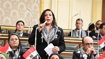نائبة: الشباب هم مستقبل مصر ولابد من استثمارها